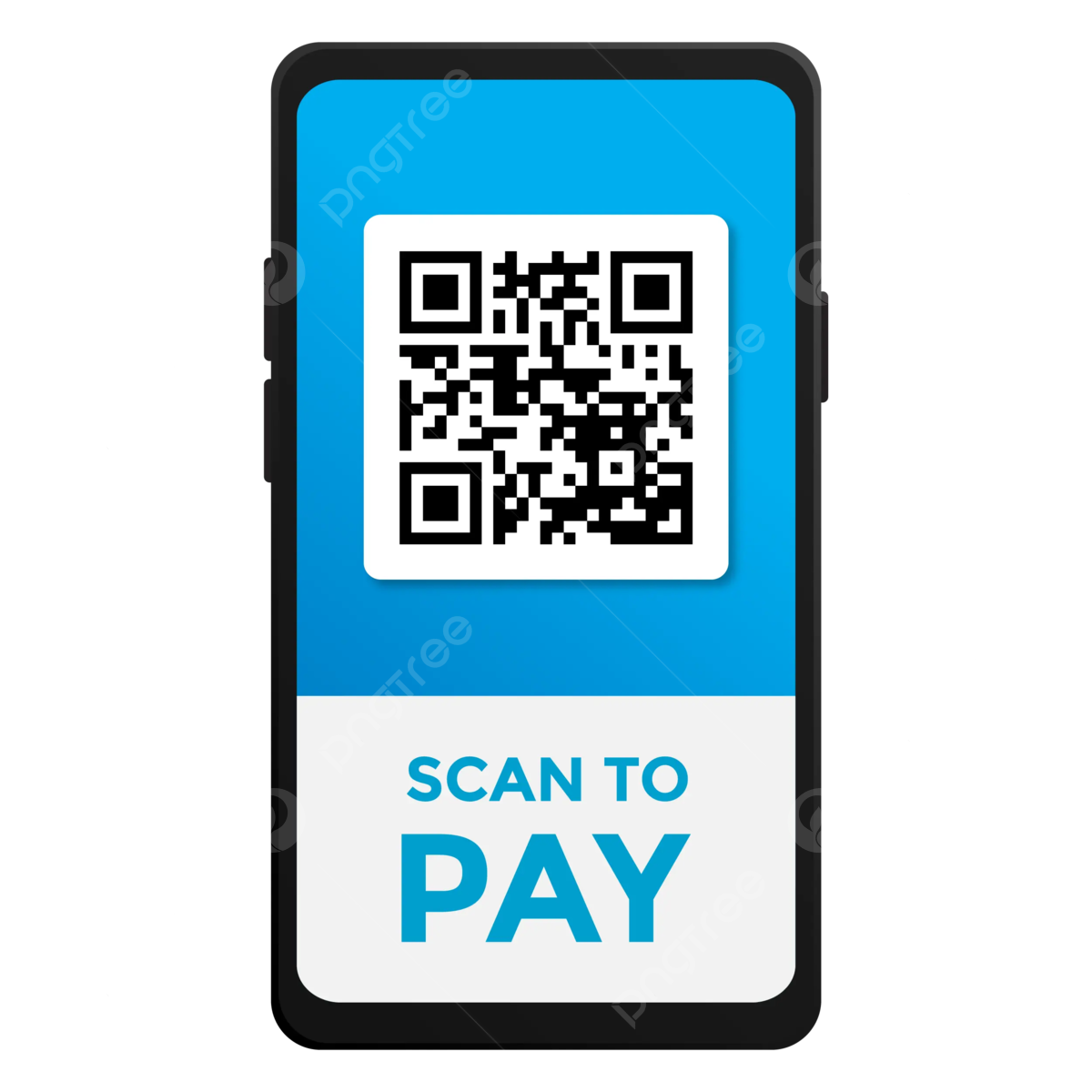 scan and pay